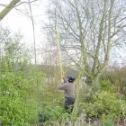 Business 3 image ALLYCATS Pet Services in Tonbridge Ke