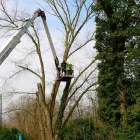 Business 4 image ALLYCATS Pet Services in Tonbridge Ke