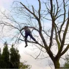 Business 6 image ALLYCATS Pet Services in Tonbridge Ke