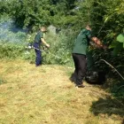 Business 2 image ALPHA GARDEN TEAM Tree Services in Bristol Br