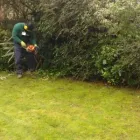 Business 3 image ALPHA GARDEN TEAM Tree Services in Bristol Br