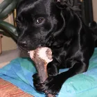 Business 2 image AMDJSERVICES Mobile Discos in Consett Co