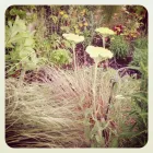 Business 12 image AMERICAN GOLF Golf Equipment in Stoke-On-Trent St