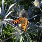 Business 2 image AMERICAN GOLF Golf Equipment in Stoke-On-Trent St