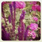 Business 6 image AMERICAN GOLF Golf Equipment in Stoke-On-Trent St