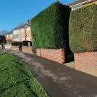 Business 1 image AMG GARDEN SERVICES Tree Services in Aldershot Ha