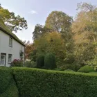 Business 9 image AMG GARDEN SERVICES Tree Services in Aldershot Ha