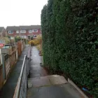 Business 11 image AMG GARDEN SERVICES Tree Services in Aldershot Ha