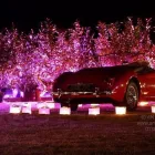 Business 22 image AML EVENT HIRE Wedding Supplies in Dundee An