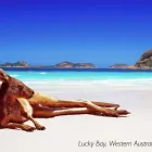 Business 4 image ANDREW PAGE LTD Motor Factors in Stockport Ch