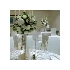 Business 2 image ANN BROMILEY M.B.AC.C Acupuncture in Manchester La