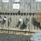 Business 3 image APEX DENTAL CARE LTD Dental Technicians in Westcliff-On-Sea Es