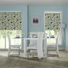 Business 10 image APOLLO BLINDS ALTRINCHAM Blinds & Awnings in Altrincham Ch