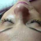 Business 9 image APPLETREE HOUSE CATTERY Catteries in Ripley De