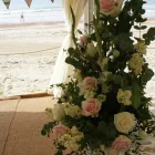 Business 4 image ARCADE FLOWERS LTD Florists in Ringwood Ha