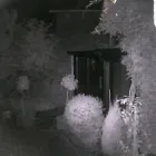 Business 2 image ARENA DESIGN ASSOCIATES Advertising & Graphic Designers in Trowbridge Wi