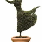 Business 3 image ASHBY-DE-LA-ZOUCH CASTLE (ENGLISH HERITAGE) Historic Buildings & Stately Homes in Ashby-De-La-Zouch Le