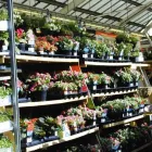 Business 1 image ASHBY-DE-LA-ZOUCH CASTLE (ENGLISH HERITAGE) Historic Buildings & Stately Homes in Ashby-De-La-Zouch Le