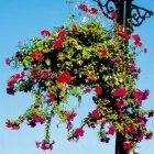 Business 2 image ASHBY-DE-LA-ZOUCH CASTLE (ENGLISH HERITAGE) Historic Buildings & Stately Homes in Ashby-De-La-Zouch Le