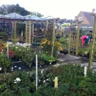 Business 4 image ASHTONS Cafes & Coffee Shops in Evesham Wo