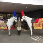 Business 4 image ASIAN WEDDING HORSES UK Wedding Supplies in Bracknell Be