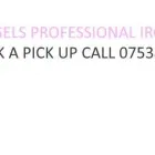 Business 2 image ASPIRING ANGELS IRONING SERVICE Residential Care in East Grinstead We