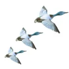 Business 5 image ATTINGHAM CONSULTING ENGINEERS LTD Consulting Engineers in Stoke-On-Trent St