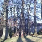 Business 2 image AV ARBORICULTURE LTD Tree Services in Edinburgh Edh