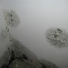 Business 4 image AYRSHIRE STRUCTURE PLAN Local Government in Prestwick Ay