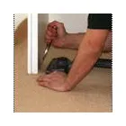 Business 1 image B C FLOORING LTD Carpets & Rugs - Retail & Repair in Havant Ha