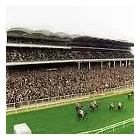 Business 1 image B R P NORTH BRISTOL TAXIS Taxis & Private Hire Vehicles in Bristol Av