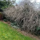 Business 6 image B&S BIRMINGHAM & SOLIHULL FENCING & LANDSCAPING Landscapers in Solihull We