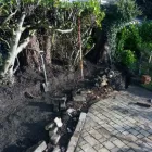 Business 41 image B&S BIRMINGHAM & SOLIHULL FENCING & LANDSCAPING Landscapers in Solihull We