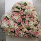 Business 4 image BACCARAT HAIRDRESSING Hairdressers in Beckenham Ke