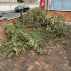 Business 1 image BAILEYS RUBBISH CLEARANCE Waste Management in Ilford Gr