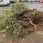 Business 3 image BAILEYS RUBBISH CLEARANCE Waste Management in Ilford Gr