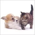 Business 6 image BARGAIN BOOZE LTD Off Licences & Wine Merchants in Southport Me