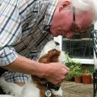 Business 3 image BARKING MAD - TOWCESTER Pets & Animals in Towcester No
