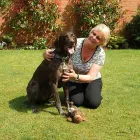Business 10 image BARKING MAD - TOWCESTER Pets & Animals in Towcester No