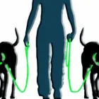 Business 1 image BARKNSTROLL DOGGY DAYCARE Pets & Animals in Reigate Su