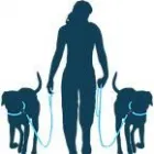 Business 2 image BARKNSTROLL DOGGY DAYCARE Pets & Animals in Reigate Su