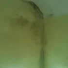 Business 1 image BARTON'S BOOKSHOP Book Shops in Leatherhead Su