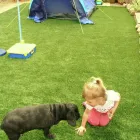 Business 14 image BDS CONSULTANCY LTD Telecommunication Services in Derby De