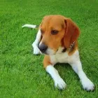 Business 16 image BDS CONSULTANCY LTD Telecommunication Services in Derby De