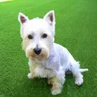 Business 11 image BDS CONSULTANCY LTD Telecommunication Services in Derby De