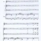 Business 3 image BEDWIN SOFT FURNISHING Blinds & Awnings in Newry Co