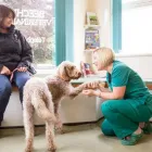 Business 11 image BEECHWOOD VETERINARY GROUP, CROSSGATES Veterinary Services in Leeds We