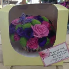 Business 23 image BELLA ITALIA Italian Restaurants in Manchester La