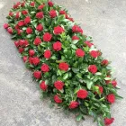 Business 12 image BELLA ITALIA Italian Restaurants in Manchester La