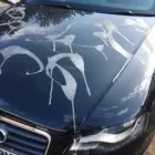 Business 11 image BESPOKE AUTO BODY Garages in Leeds We